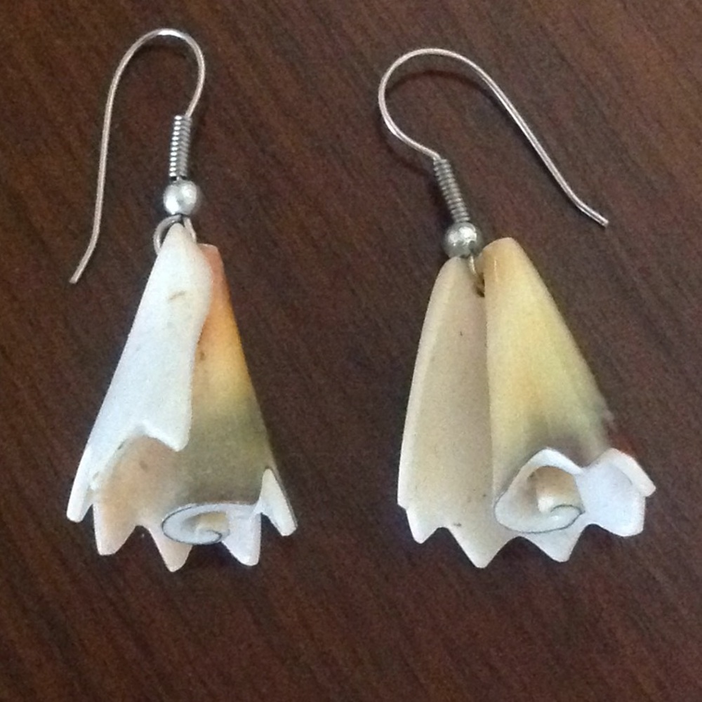 Shell earrings